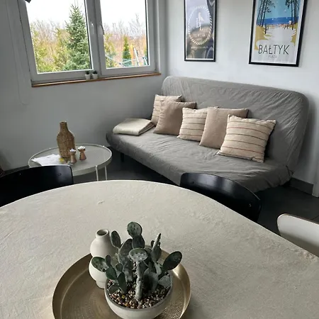Ferienhaus Baltic Lark Dom 100m2 3 Sypialnie 2 Lazienki Sauna Prywatny Teren *