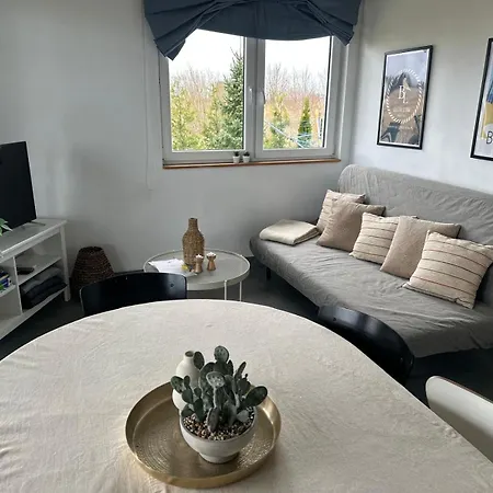 Baltic Lark Dom 100m2 3 Sypialnie 2 Lazienki Sauna Prywatny Teren Σπίτι διακοπών Gąski