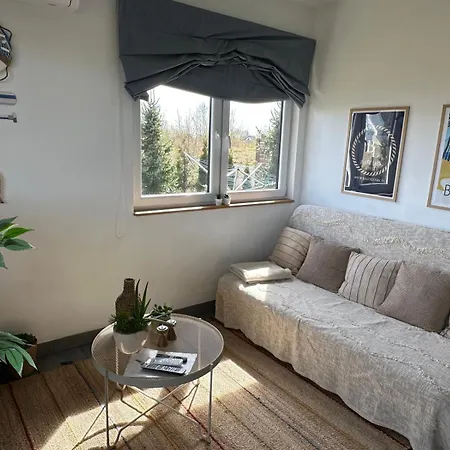 Ferienhaus Baltic Lark Dom 100m2 3 Sypialnie 2 Lazienki Sauna Prywatny Teren *