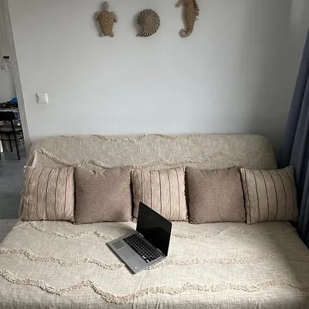 Baltic Lark Dom 100m2 3 Sypialnie 2 Lazienki Sauna Prywatny Teren Ferienhaus *